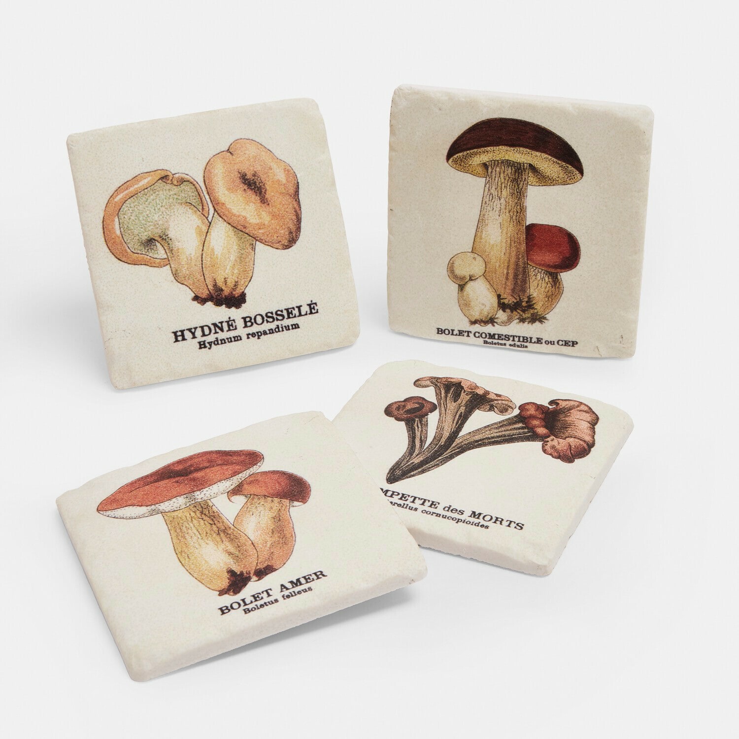 Set de 4 posavasos Jandoria