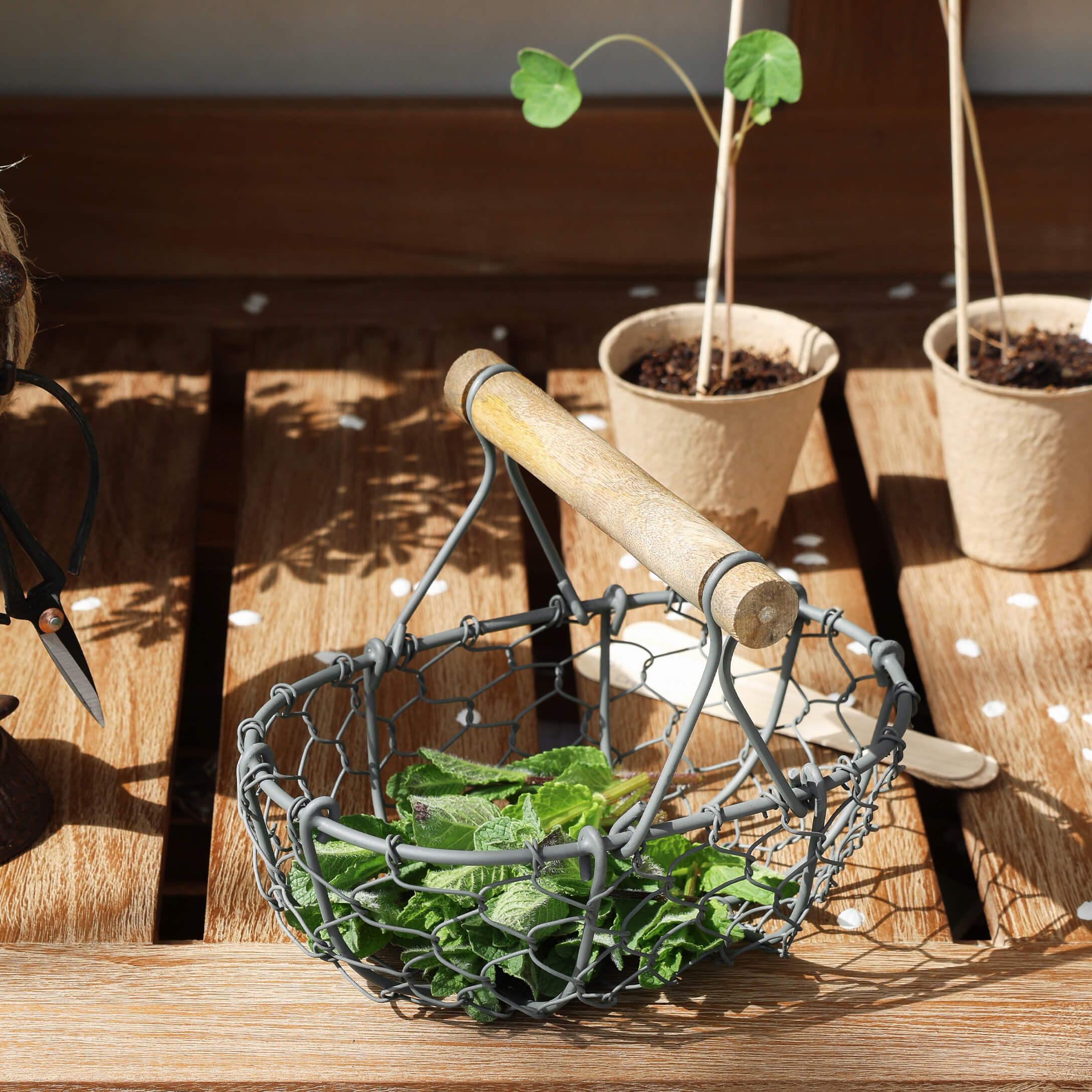 Cesta metálica con asa de madera y hojas verdes sobre mesa de madera para jardín