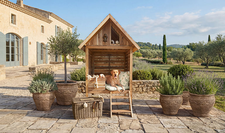 Aventura campestre para peludos
