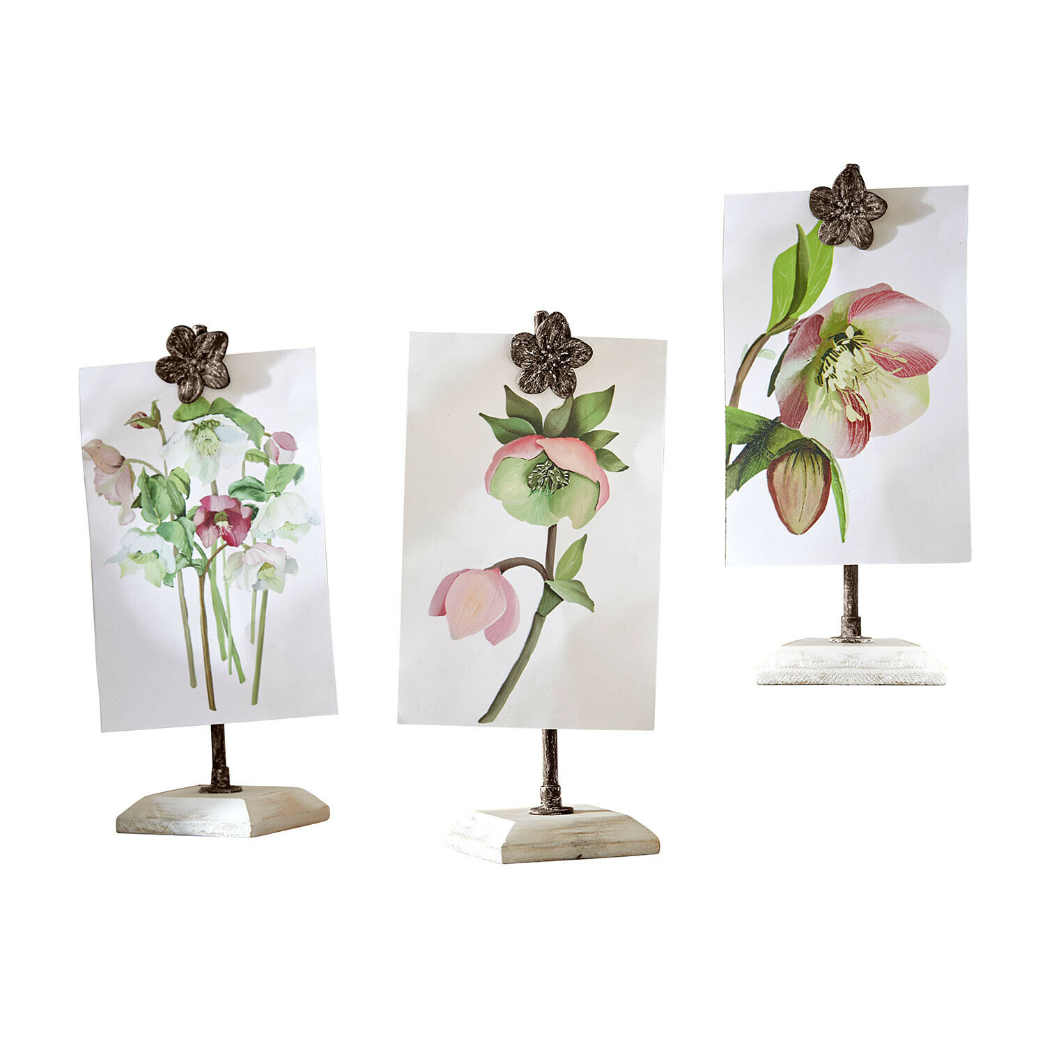 Set de 3 cuadros con soporte Serafinas