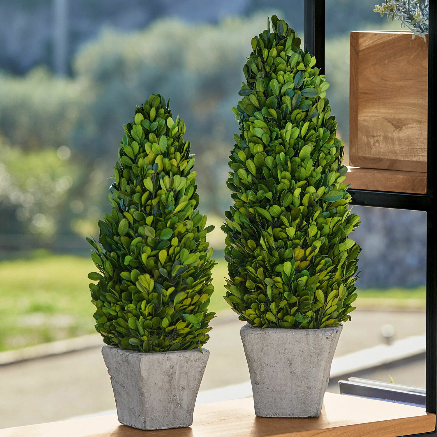 Set de 2 árboles decorativos Pierry