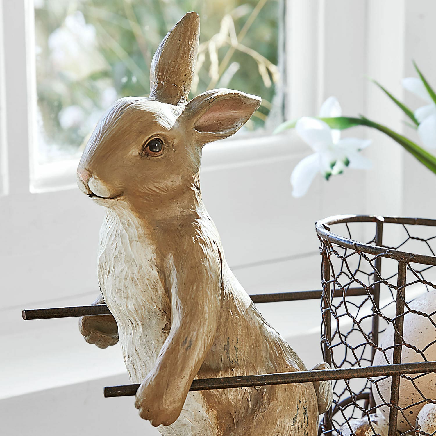 Conejo de Pascua Tadino