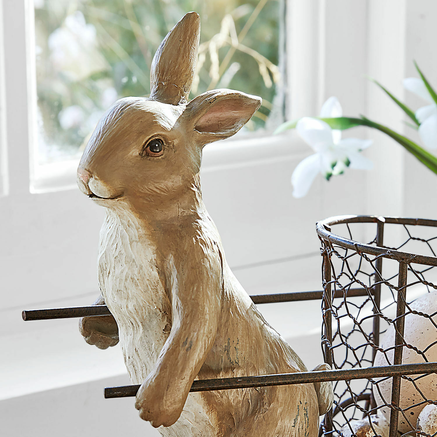 Conejo de Pascua Tadino