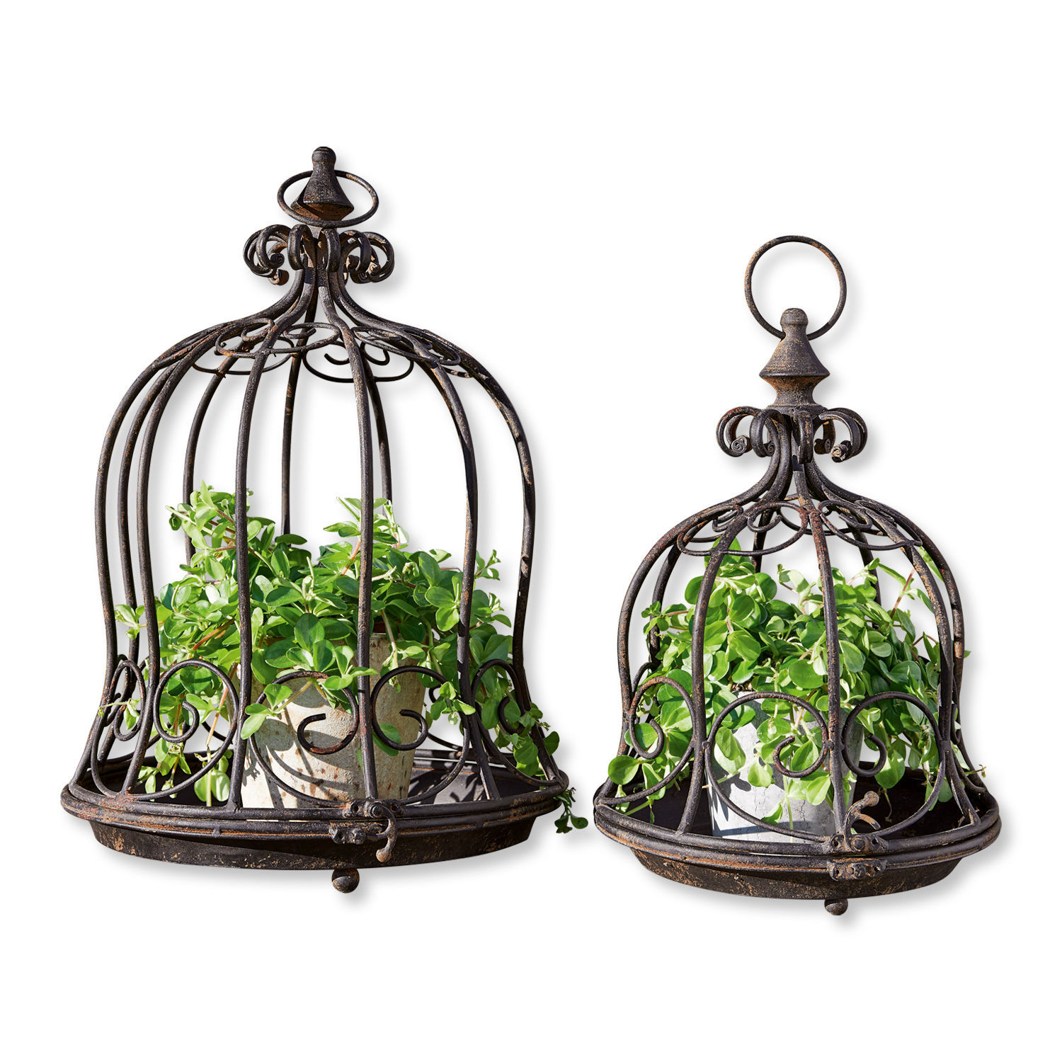 Conjunto de 2 soportes para plantas negros de metal Luisianne con diseño decorativo y macetas con hojas verdes