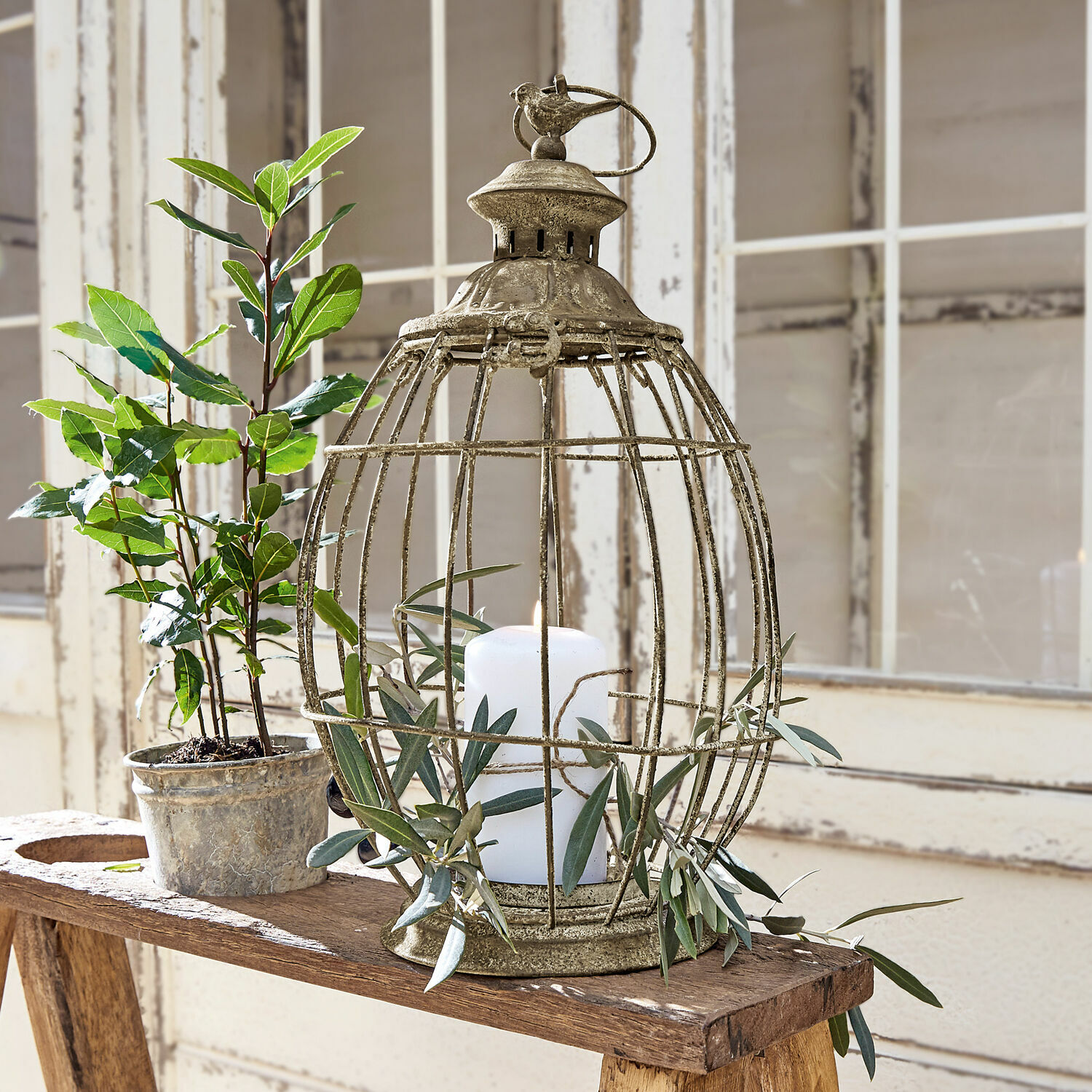 Farol Morena Linterna decorativa de metal en forma de jaula con vela blanca y hojas verdes sobre mesa de madera