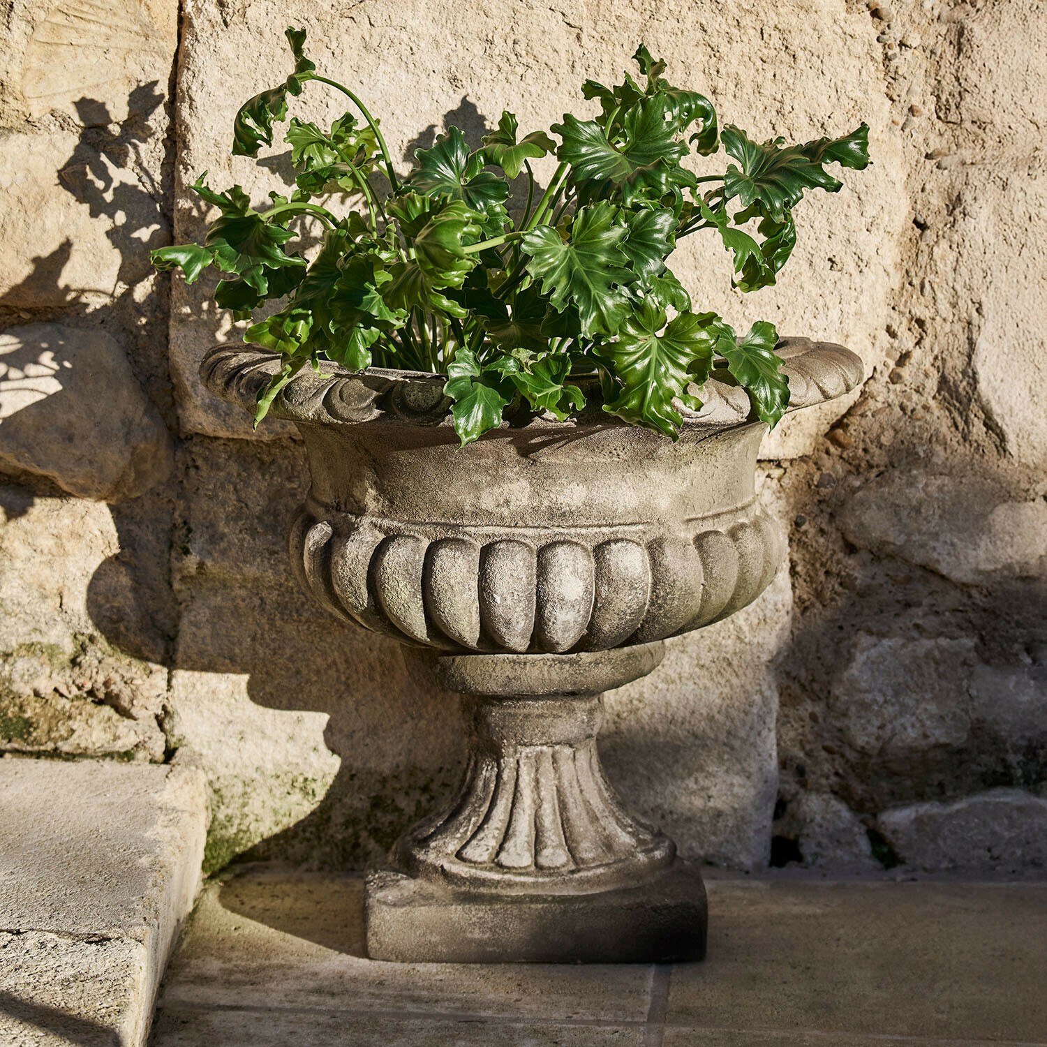 Macetero Navrelle Maceta decorativa de piedra gris con hojas verdes frente a una pared de piedra