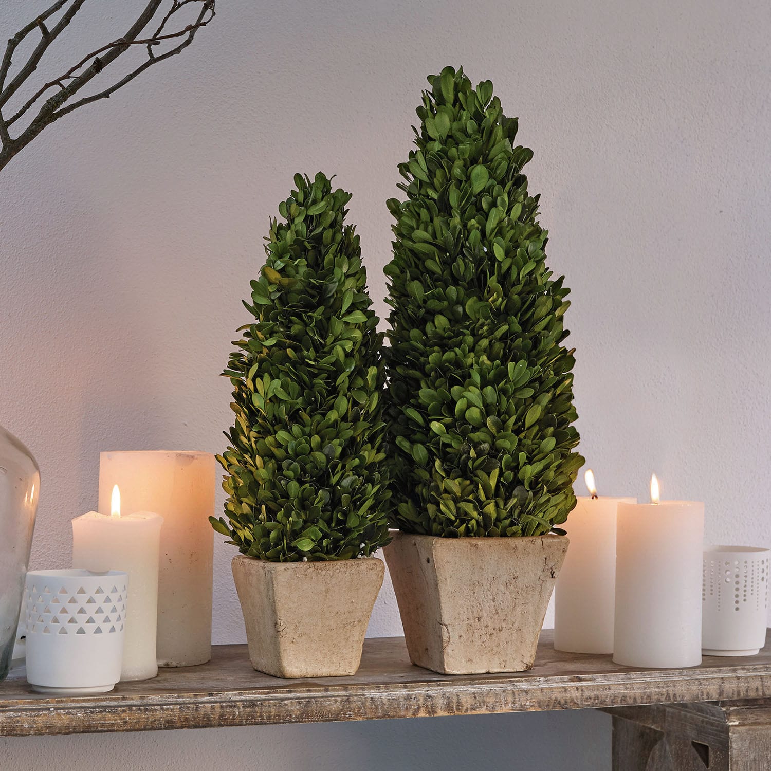 Set de 2 árboles decorativos Pierry