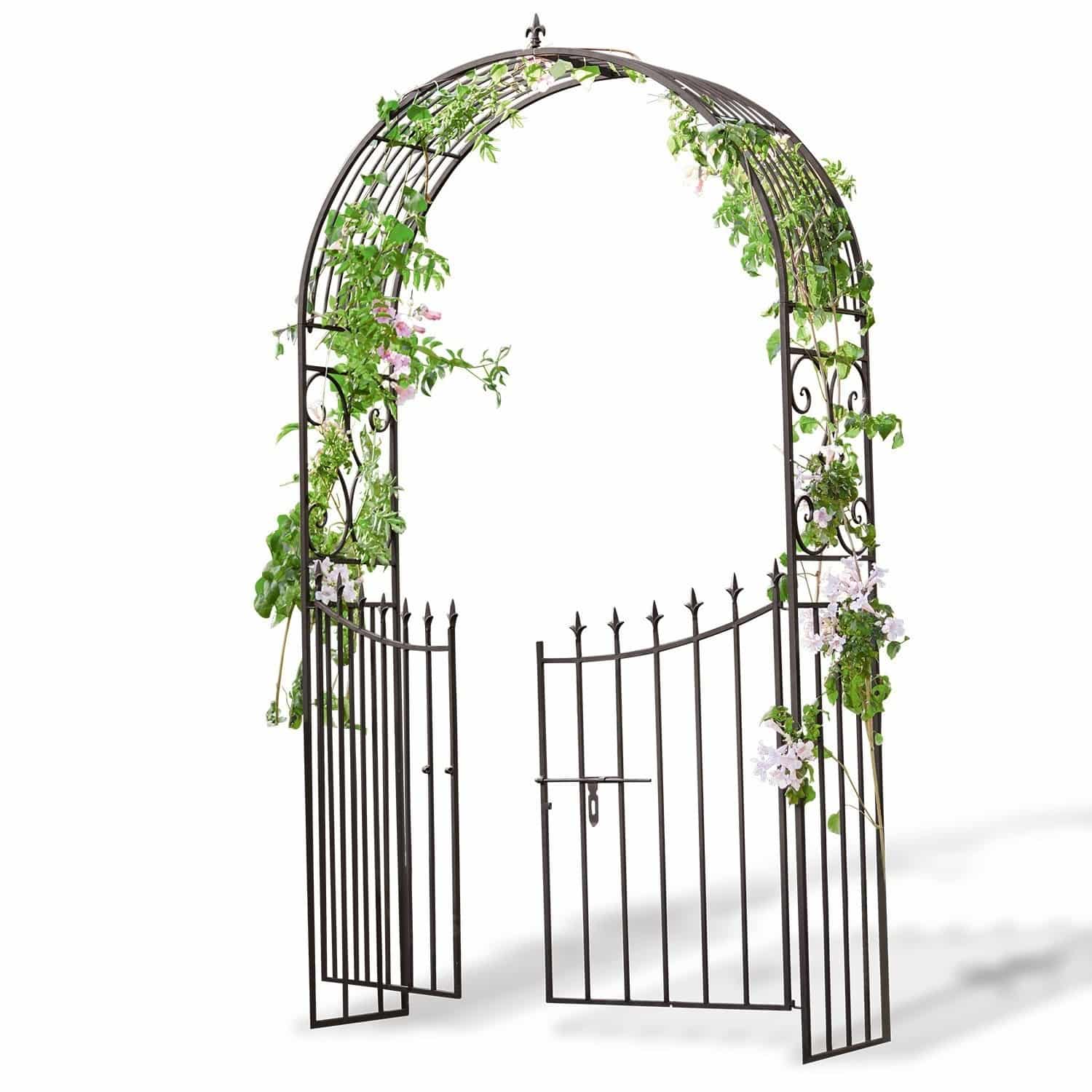 Arco de rosas Skyrose