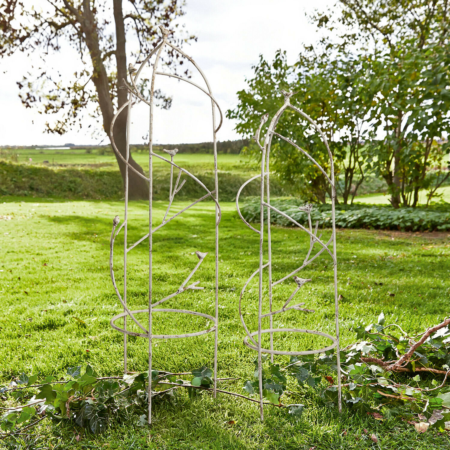 Set de 2 soportes para plantas trepadoras Cresselay Pérgola de jardín metálica blanca con adornos de pájaros, soporte para plantas trepadoras
