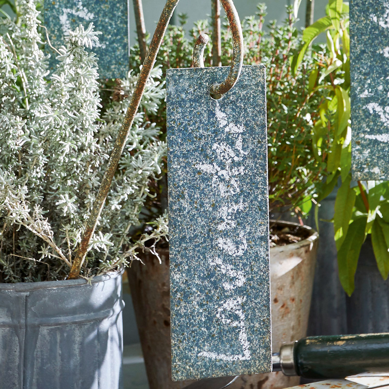 Set de 6 carteles para hierbas Sefrou