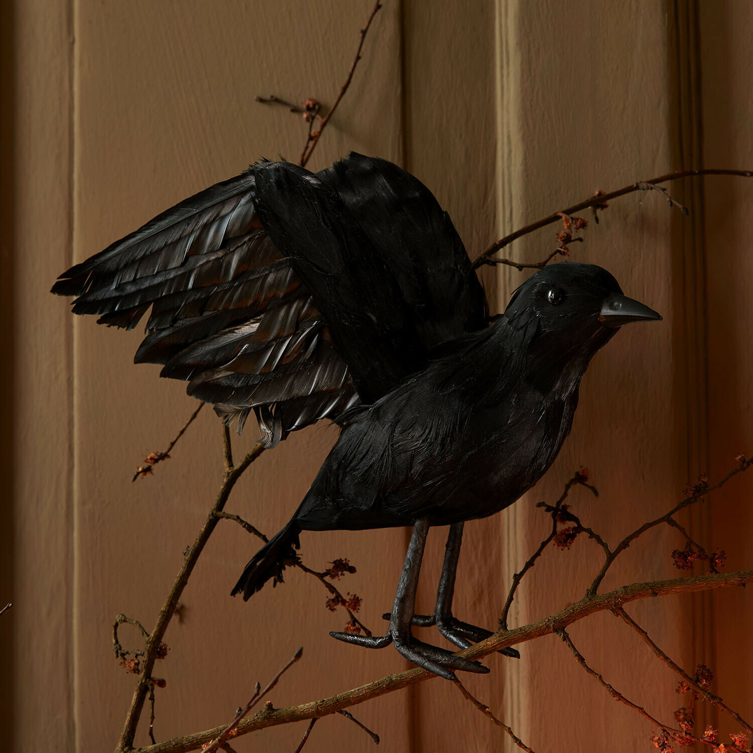 Pájaro decorativo Faelron