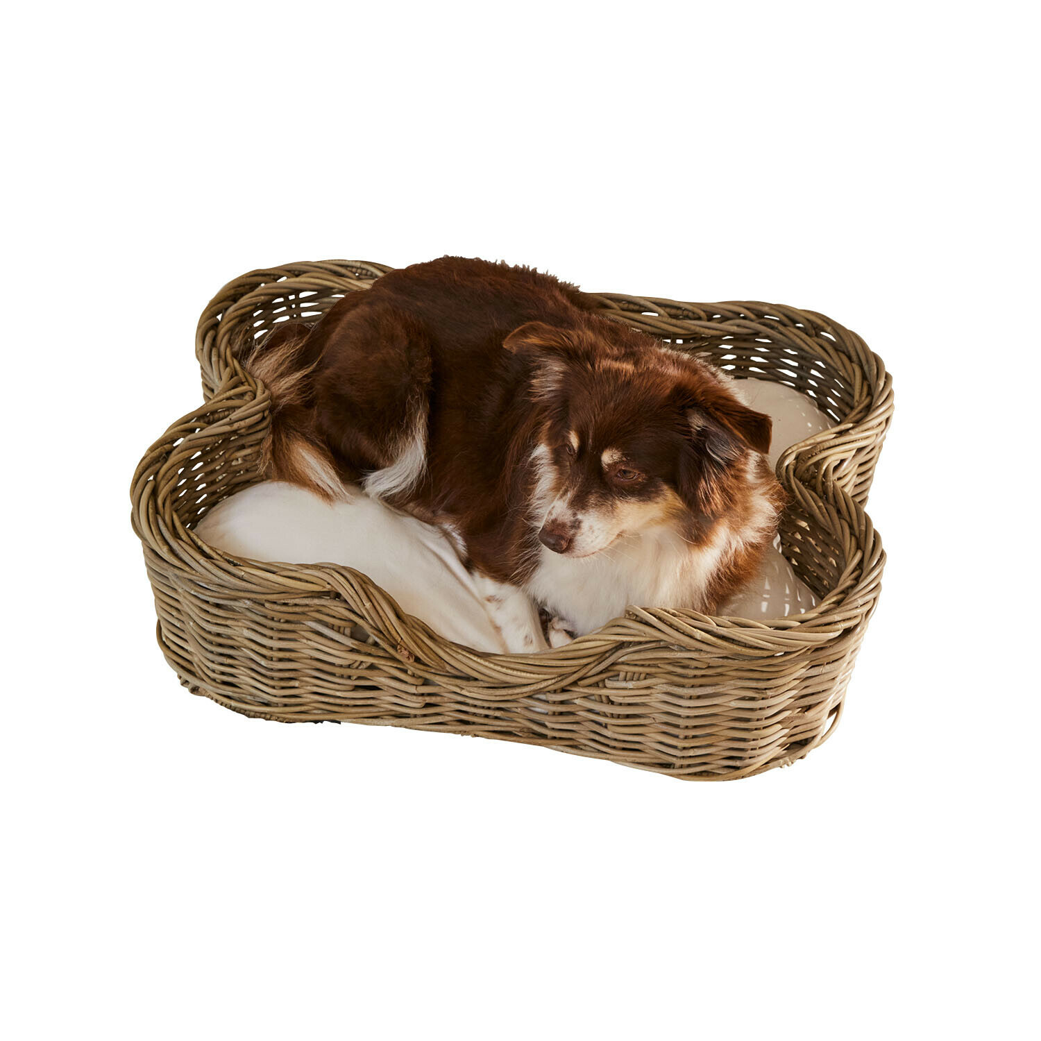 Cama para mascotas Ninloo