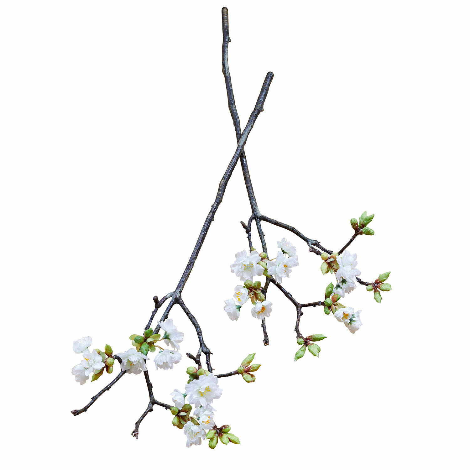 Set de 2 flores decorativas Gráda