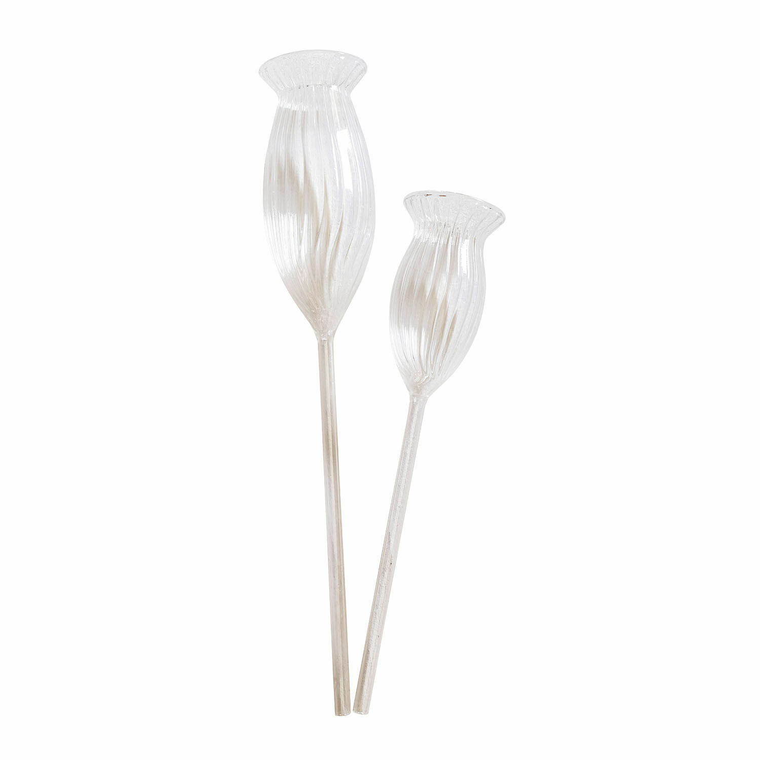 Set de 2 vasos de riego Radisa