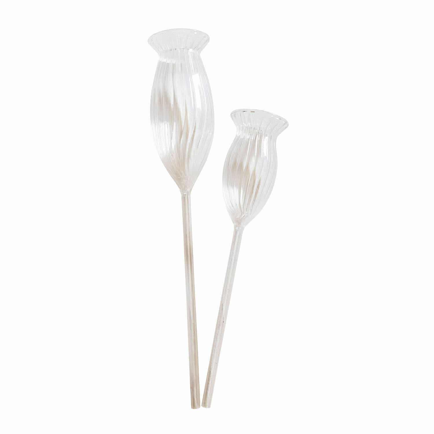 Set de 2 vasos de riego Radisa