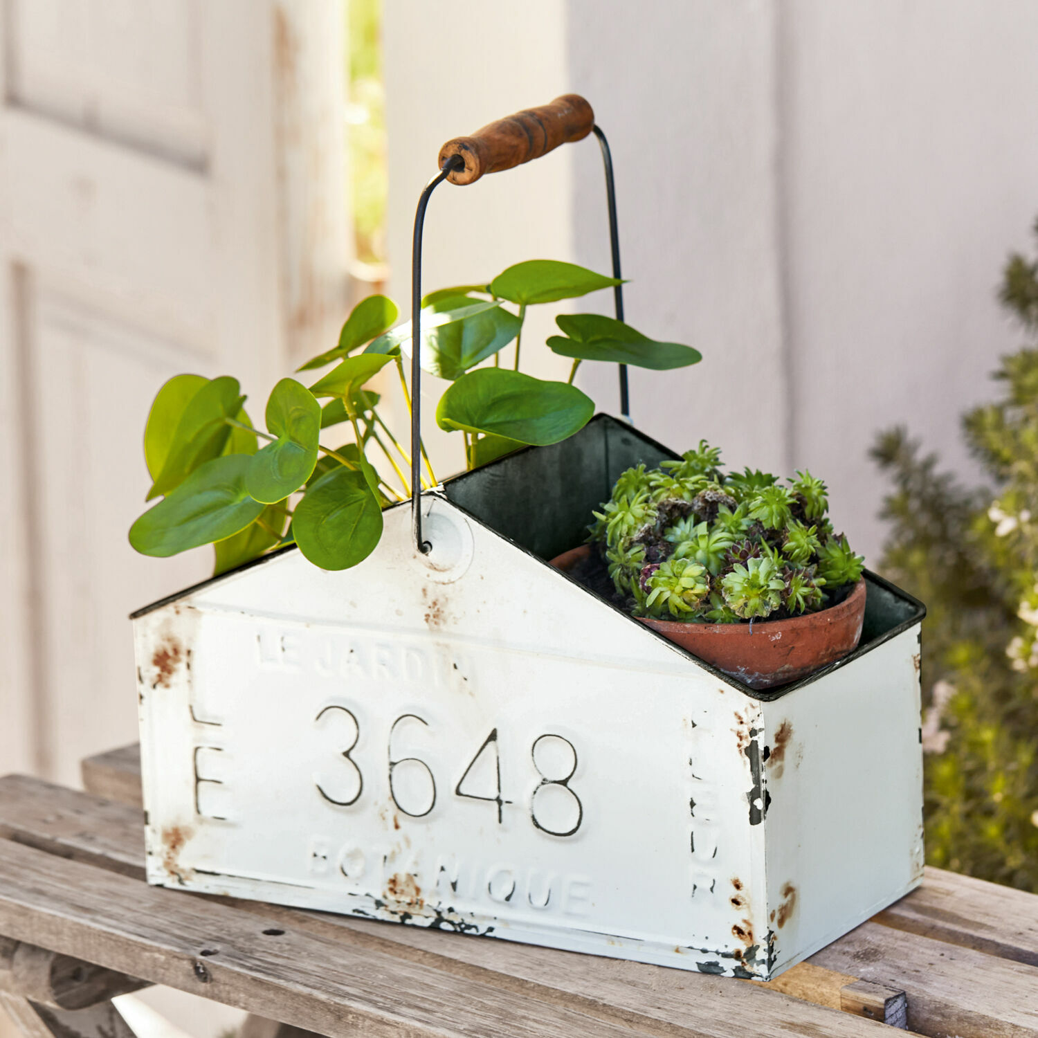 Cesta Botanique