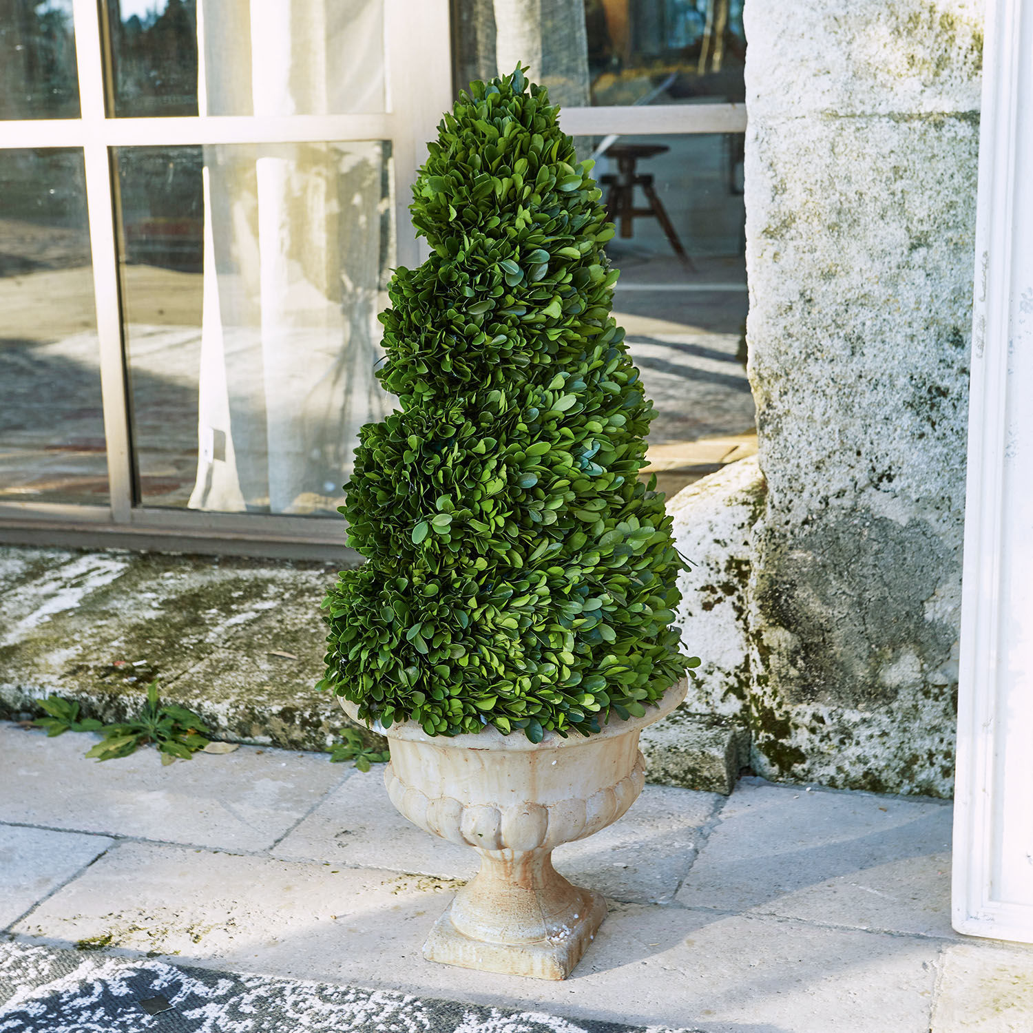 Árbol decorativo Humbria Boj artificial verde en maceta de cerámica crema en terraza, decoración de jardín