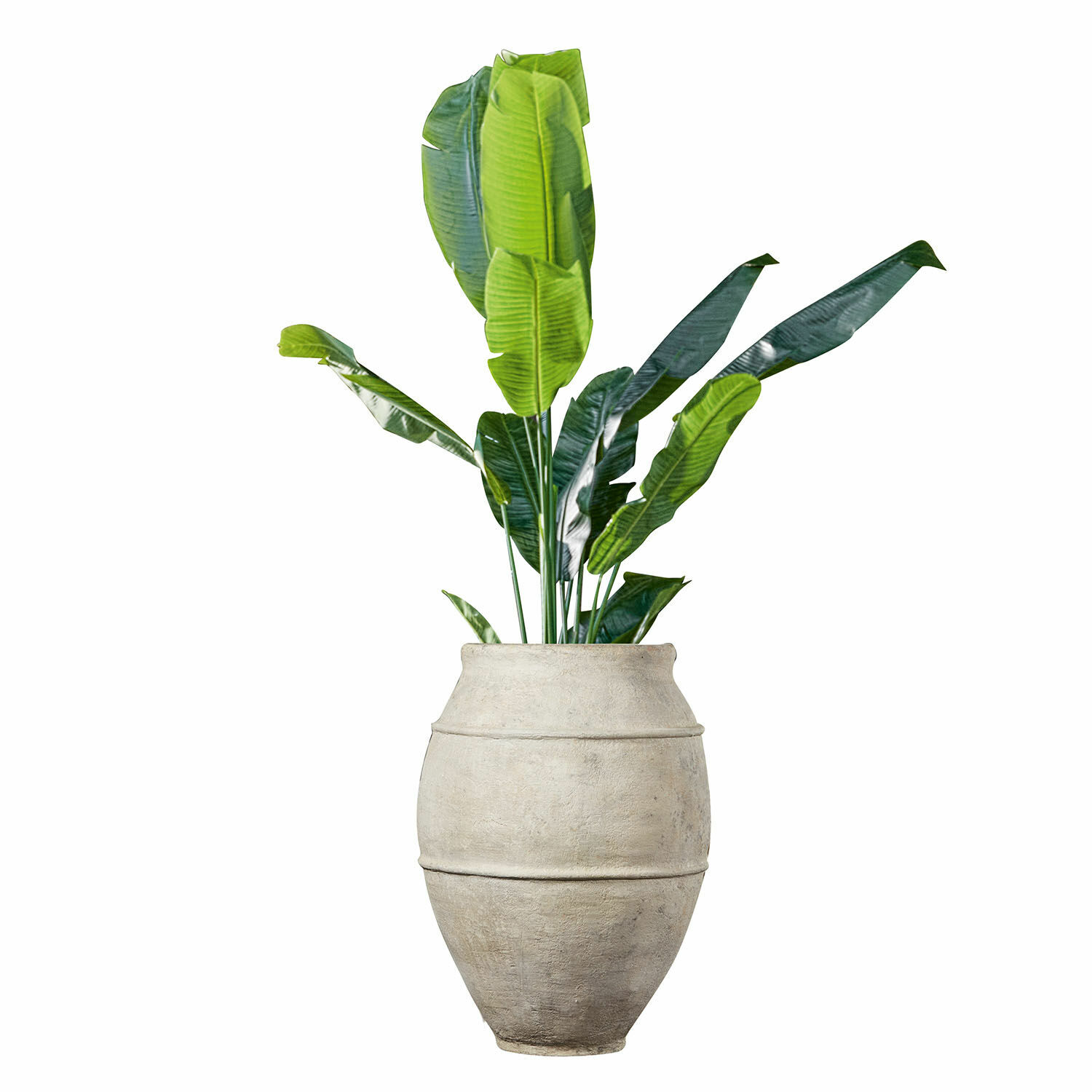 Tinaja Morcote Maceta grande de piedra clara con hojas verdes de plátano para decoración interior y jardín