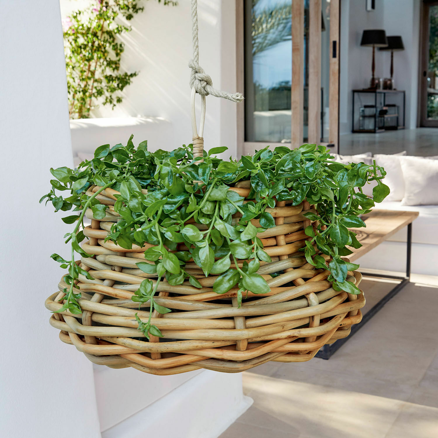 Cesta colgante Villaz Cesta colgante de ratán natural con plantas verdes para decoración interior y exterior