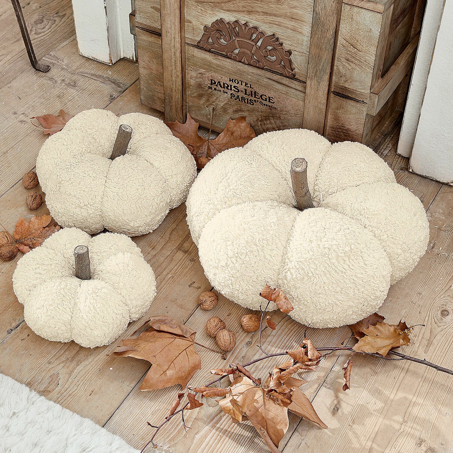 Set de 3 calabazas Benjamin