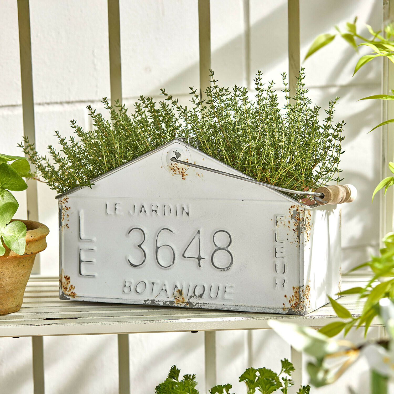 Cesta Botanique Maceta metálica blanca con manchas de óxido y hierbas verdes en estante blanco en jardín