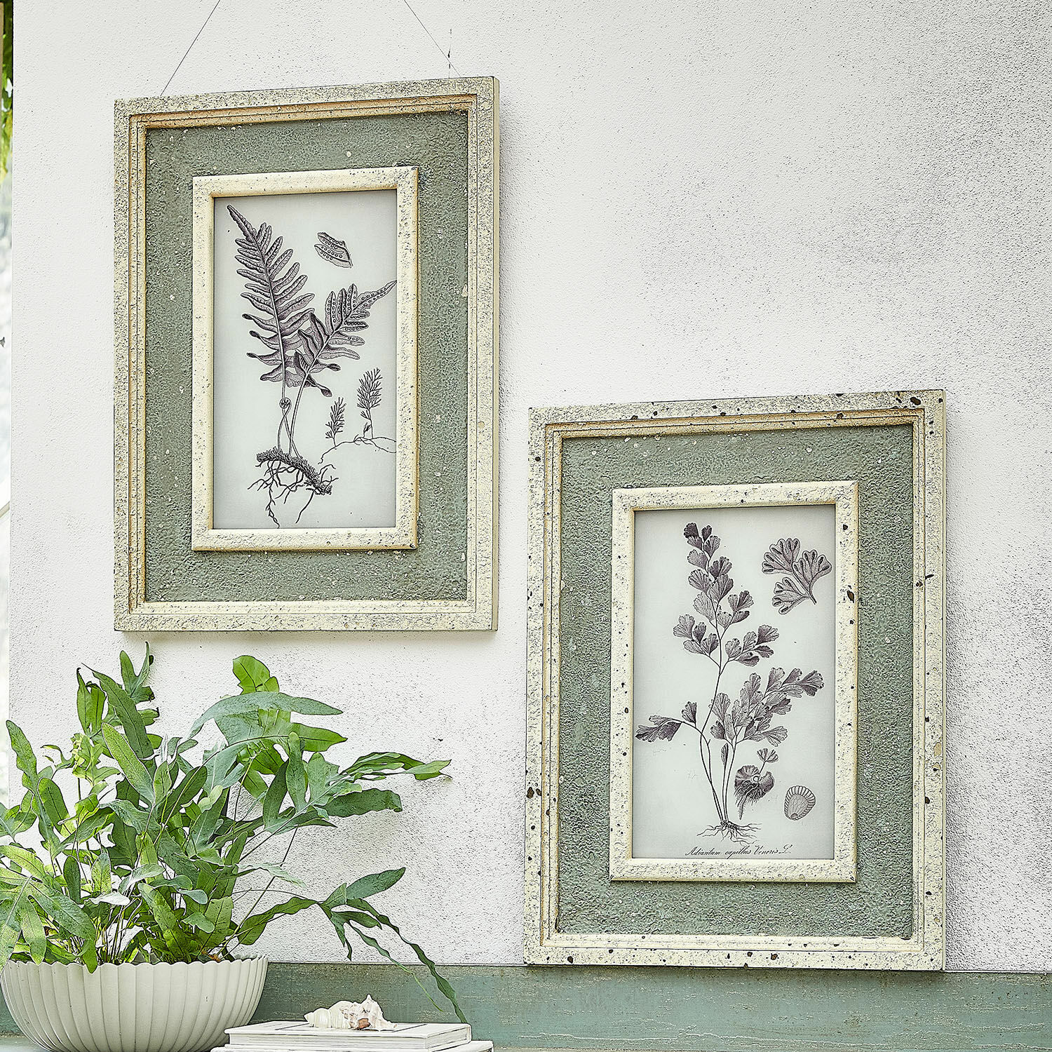 Set de 2 cuadros Cerilav Dos marcos de pared verdes con ilustraciones botánicas y textura en pared blanca estilo vintage