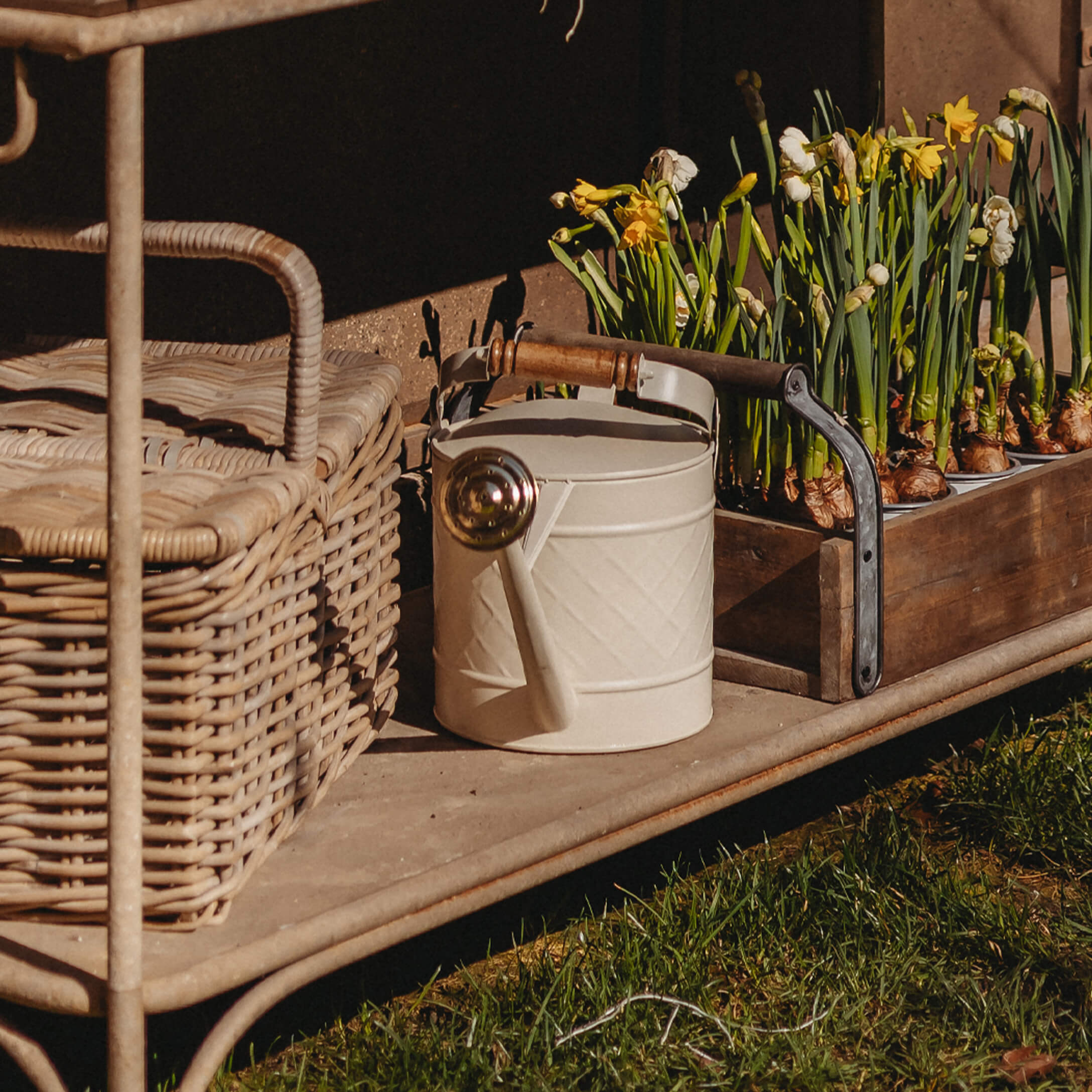Regadera metálica blanca con asa de madera junto a cesta de mimbre y macetas con flores amarillas