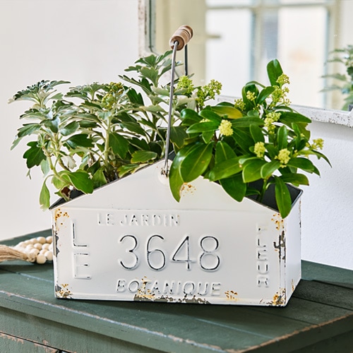 Contenedor metálico blanco con asa y plantas, decoración para hogar y jardín