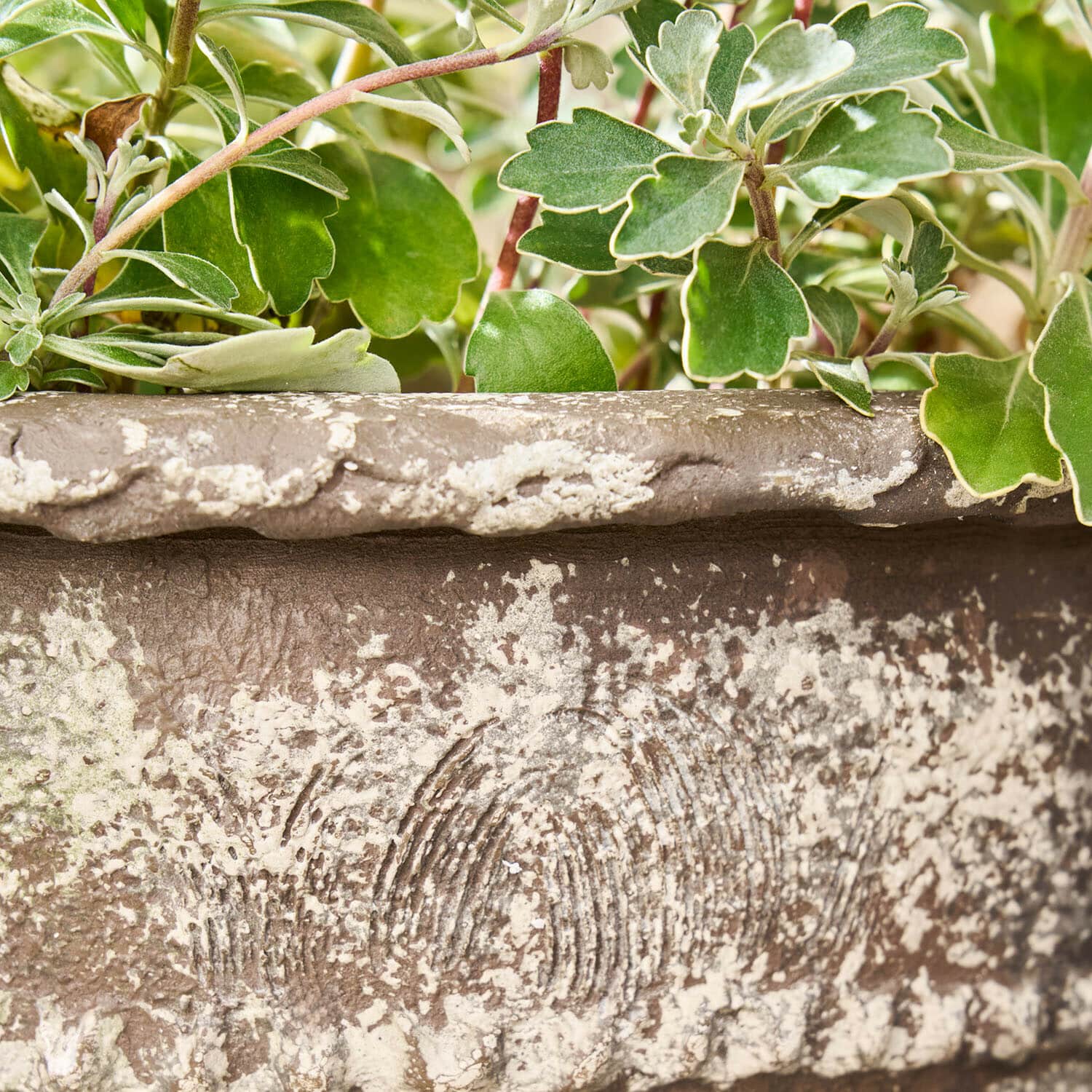 Set de 2 maceteros Montérise