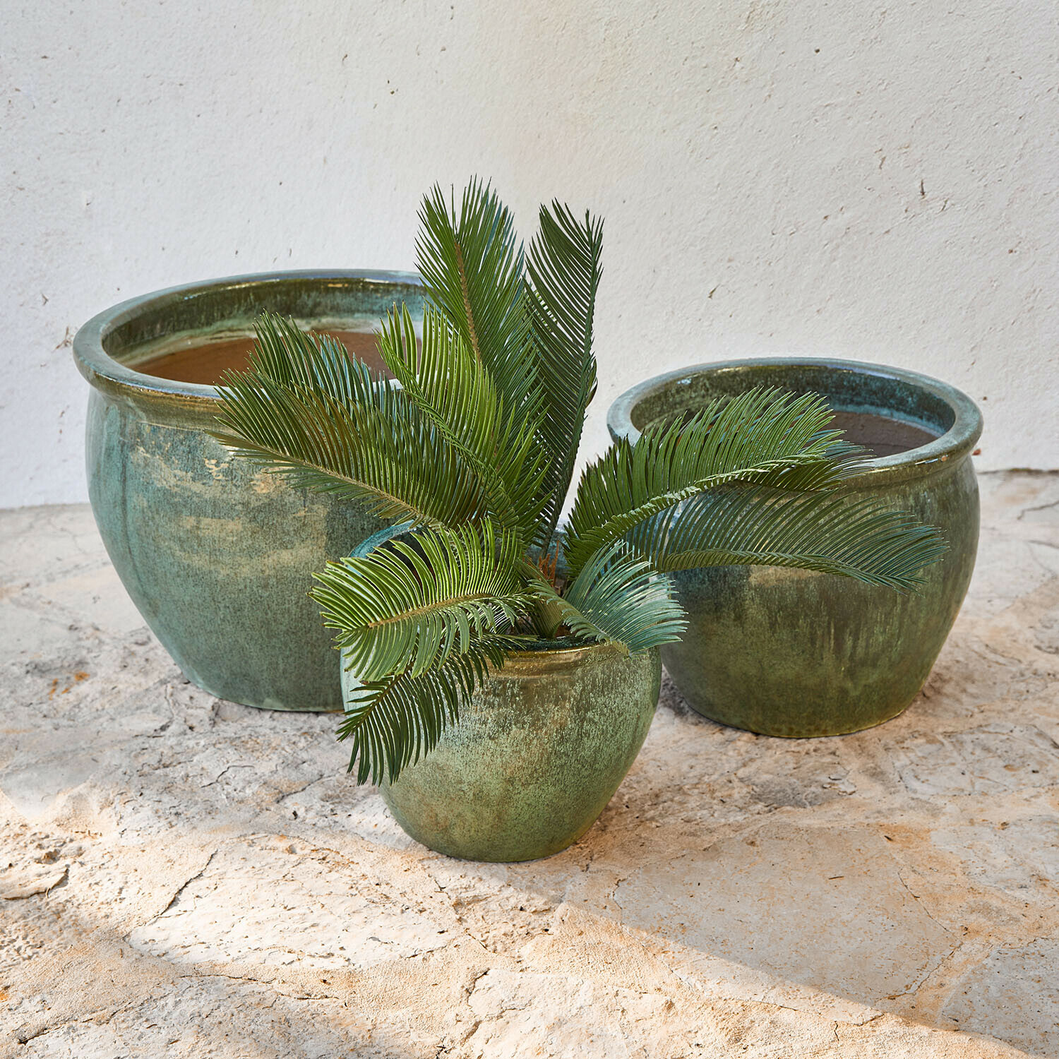 Conjunto de tres macetas de cerámica verde de diferentes tamaños con planta decorativa