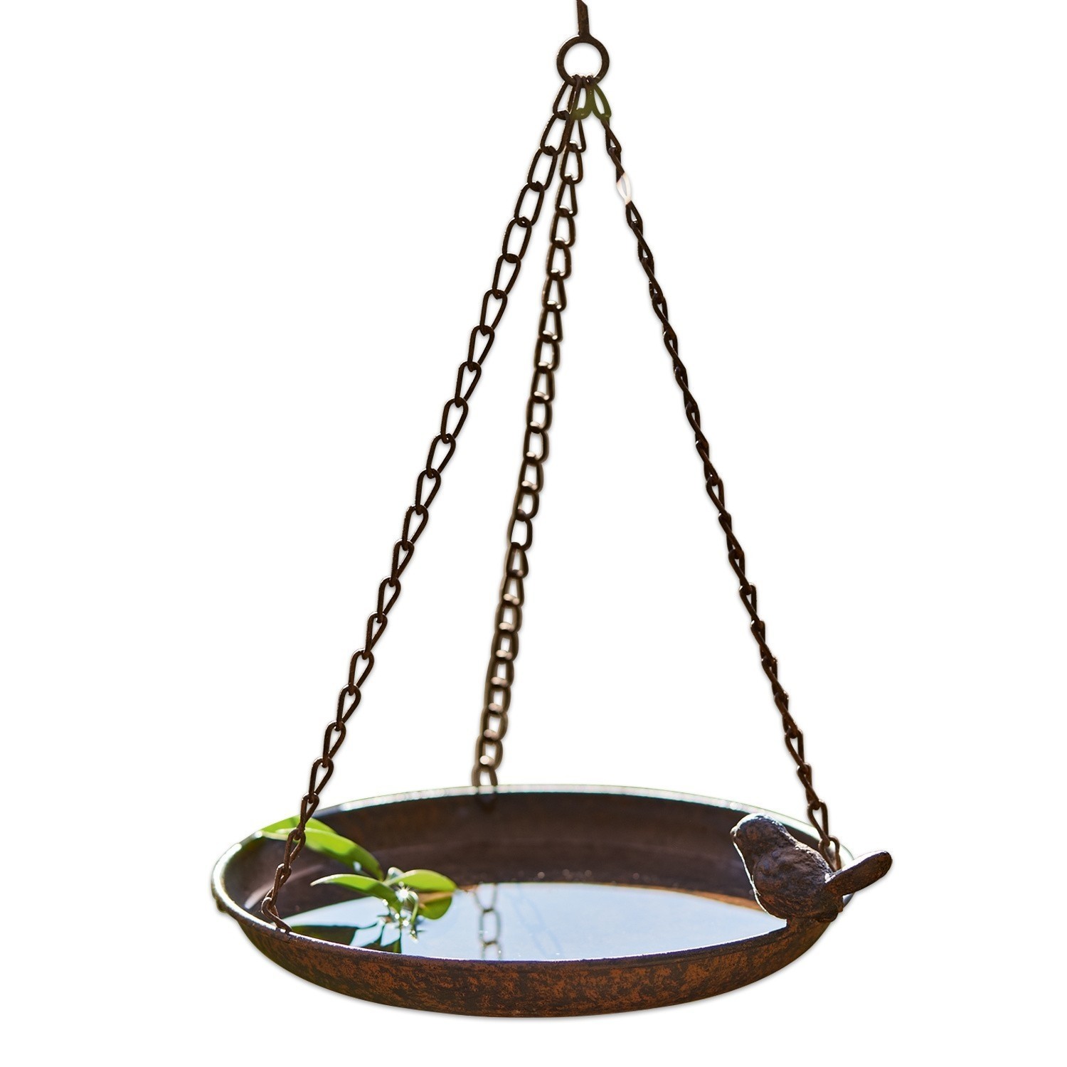 Bebedero para pájaros Britta Cuenco colgante de metal marrón oxidado con pájaro decorativo para jardín y aves