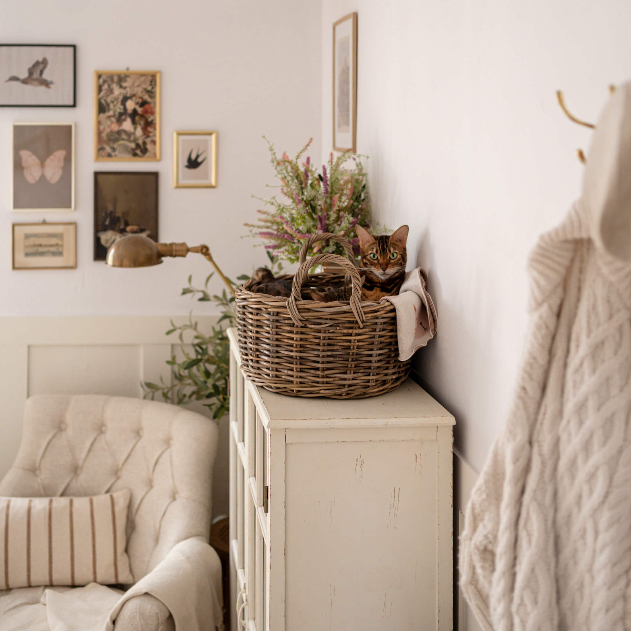 Gato marrón en cesta de mimbre sobre cómoda blanca en salón acogedor con sillón beige y cuadros en la pared