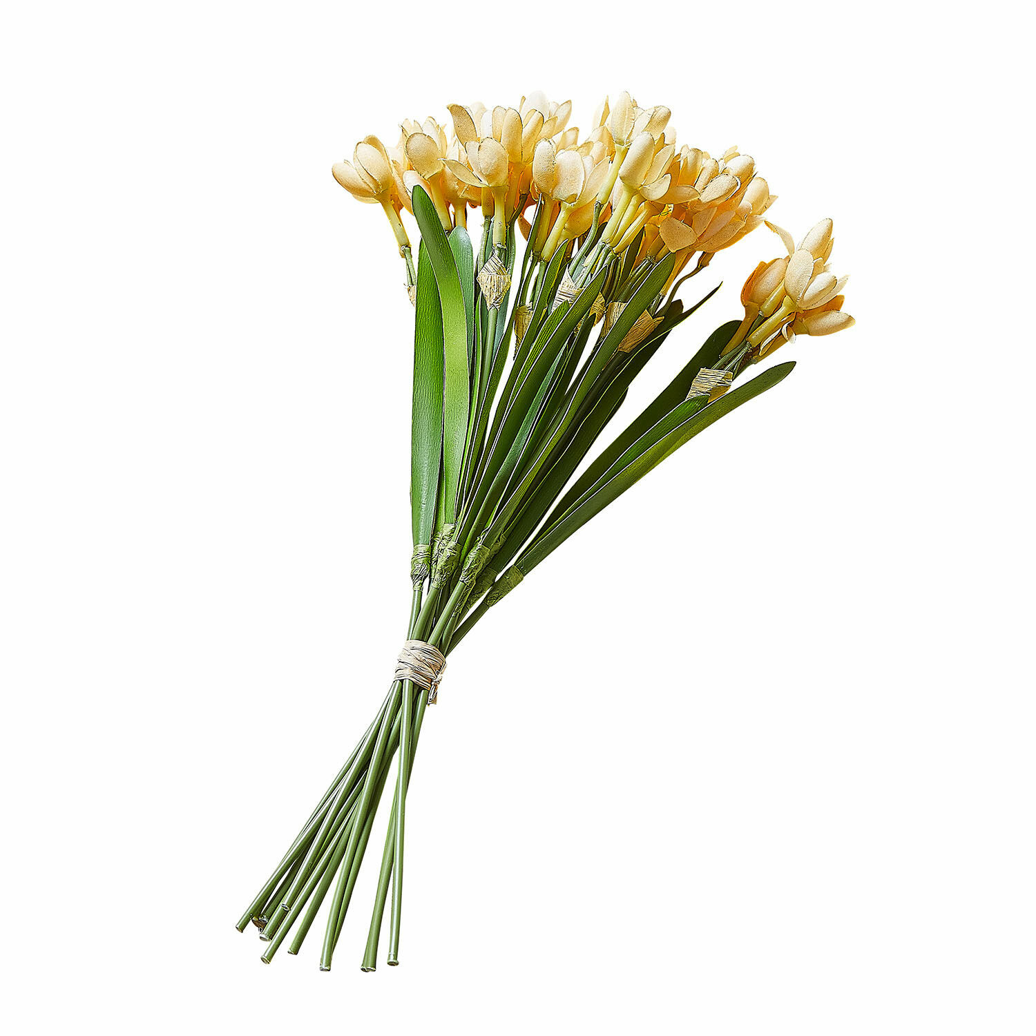 Set de 12 flores decorativas Ilvera