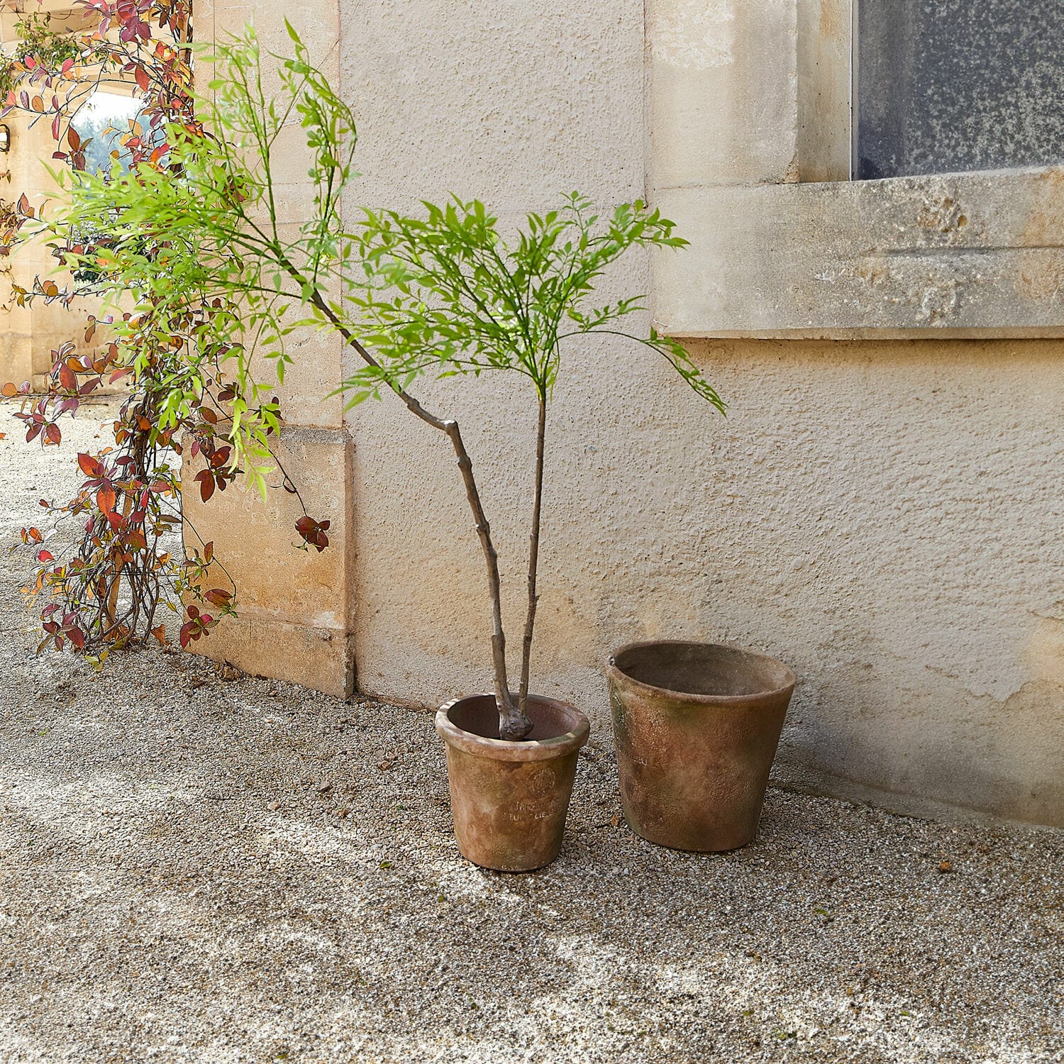 Planta decorativa en maceta de segunda opción Avenelle Dos macetas rústicas de terracota marrón sobre suelo de grava en exterior junto a pared