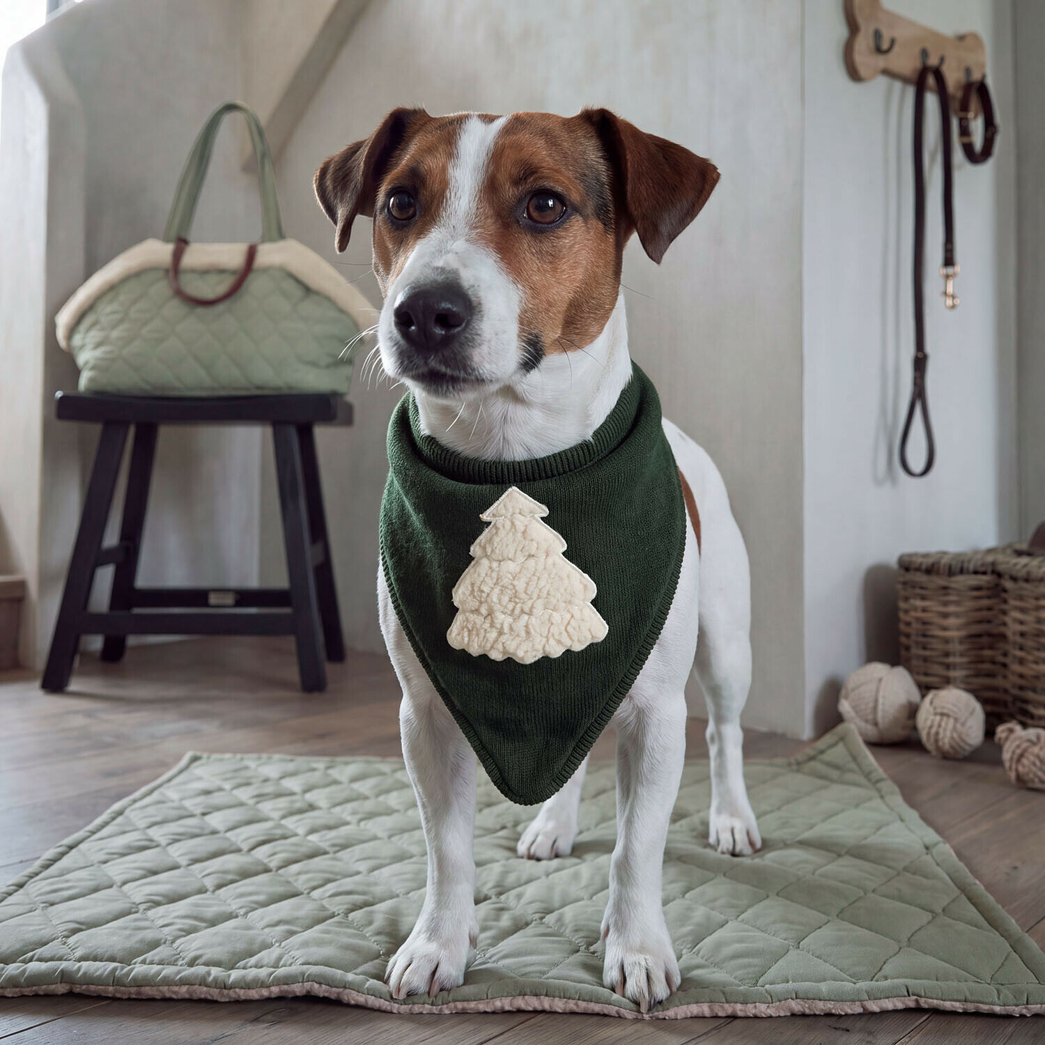 Hundehalstuch Jovini Hundehalstuch Jovini