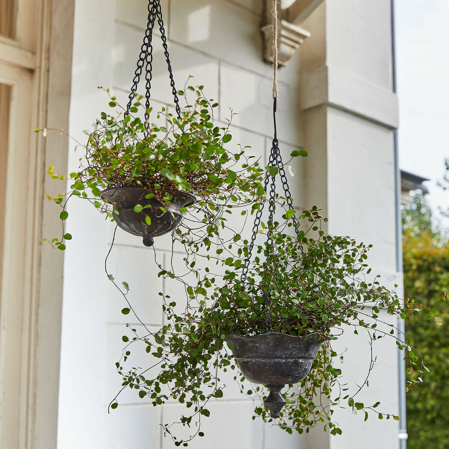 Set de 2 maceteros colgantes Trelonne Macetas colgantes de metal estilo vintage con plantas verdes, decoración para jardín y terraza