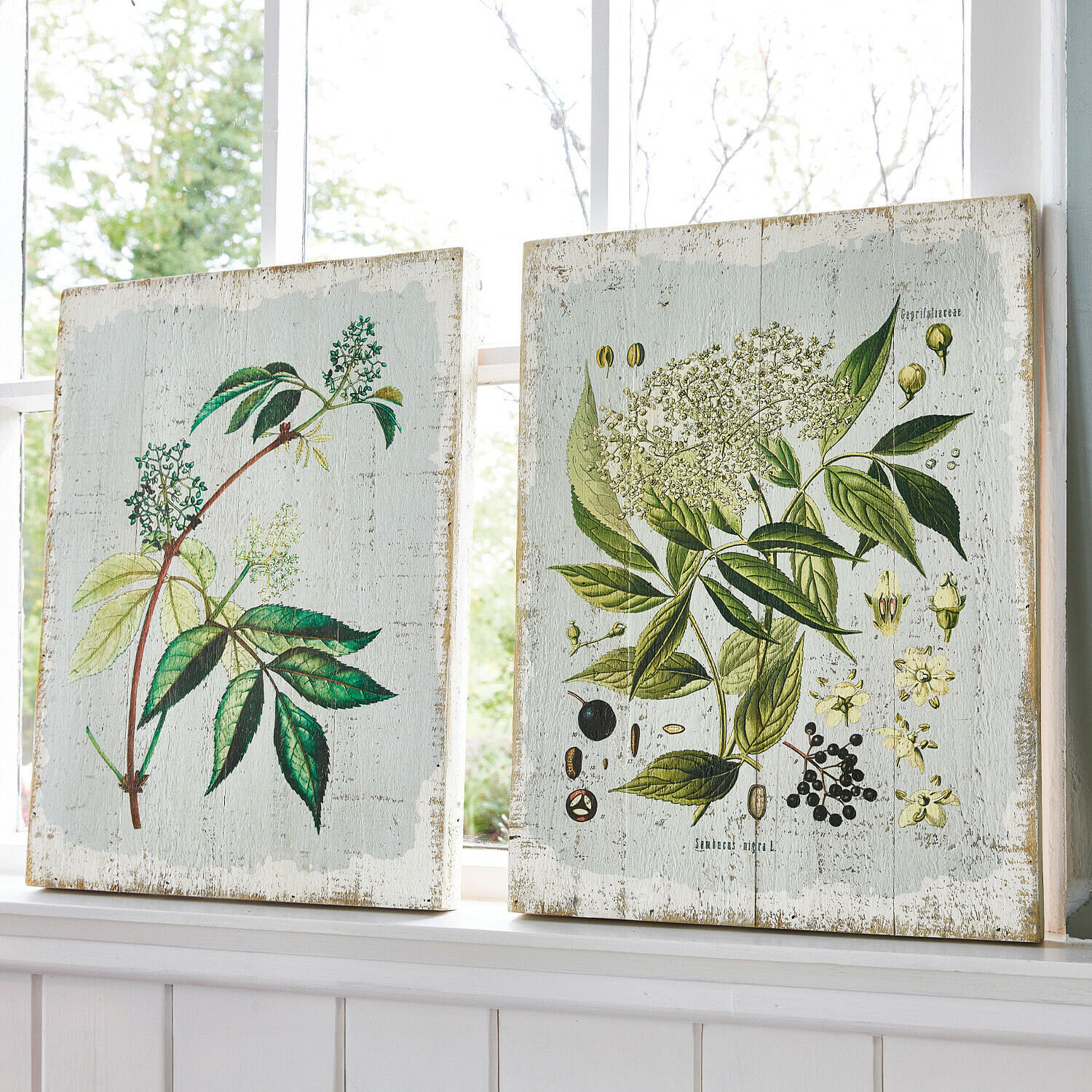 Set de 2 tableros decorativos Loanne Cuadros de madera con ilustraciones botánicas de hojas verdes y flores sobre fondo claro para decoración