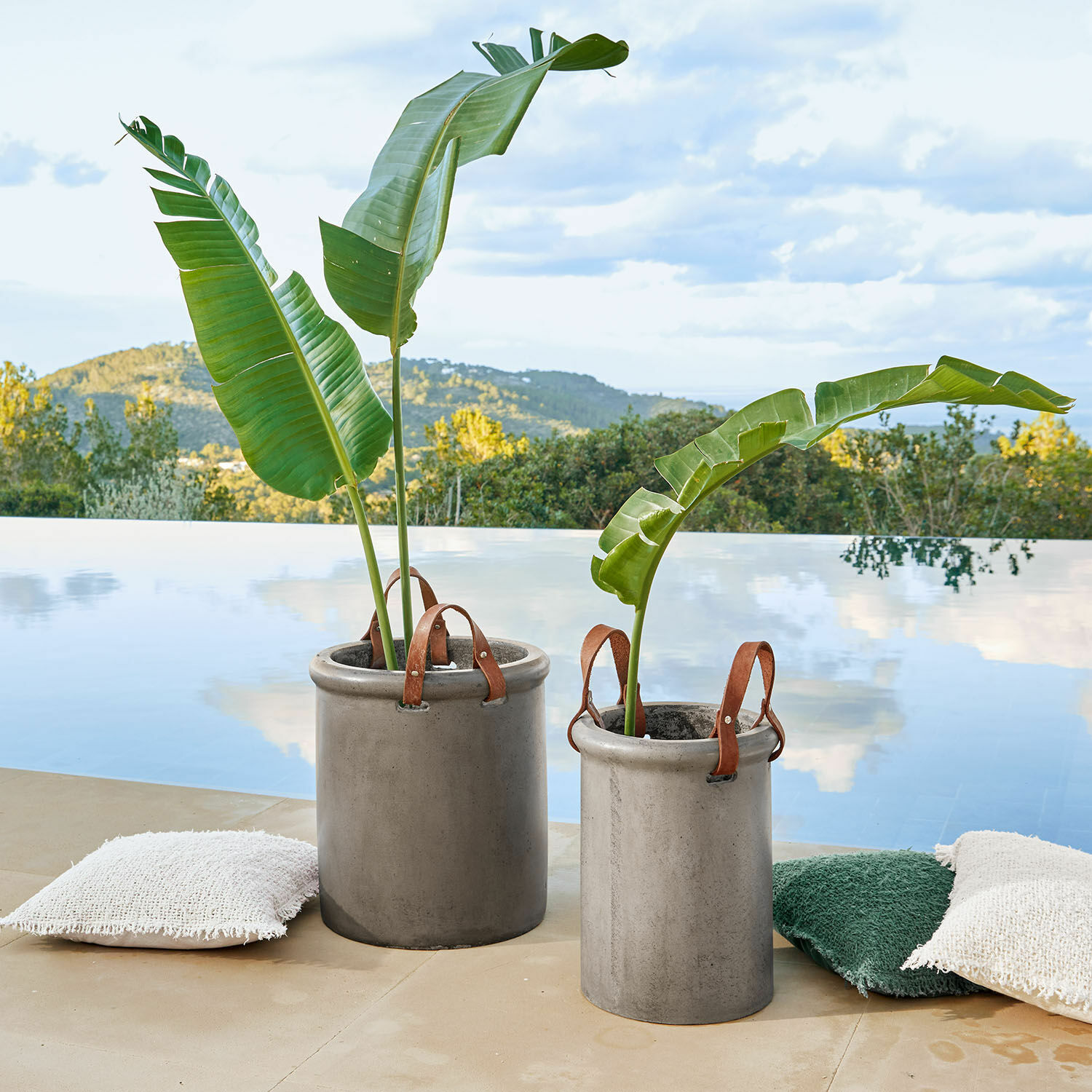 Dos macetas de hormigón gris con asas de cuero marrón y hojas verdes junto a la piscina