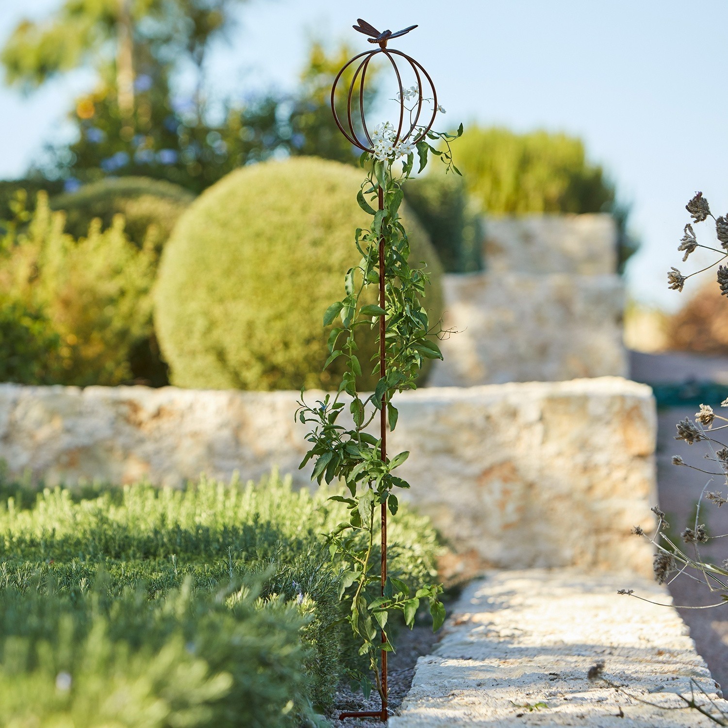 Estaca decorativa para el jardín Libelle Soporte metálico oxidado con mariposa para plantas trepadoras, decoración de jardín
