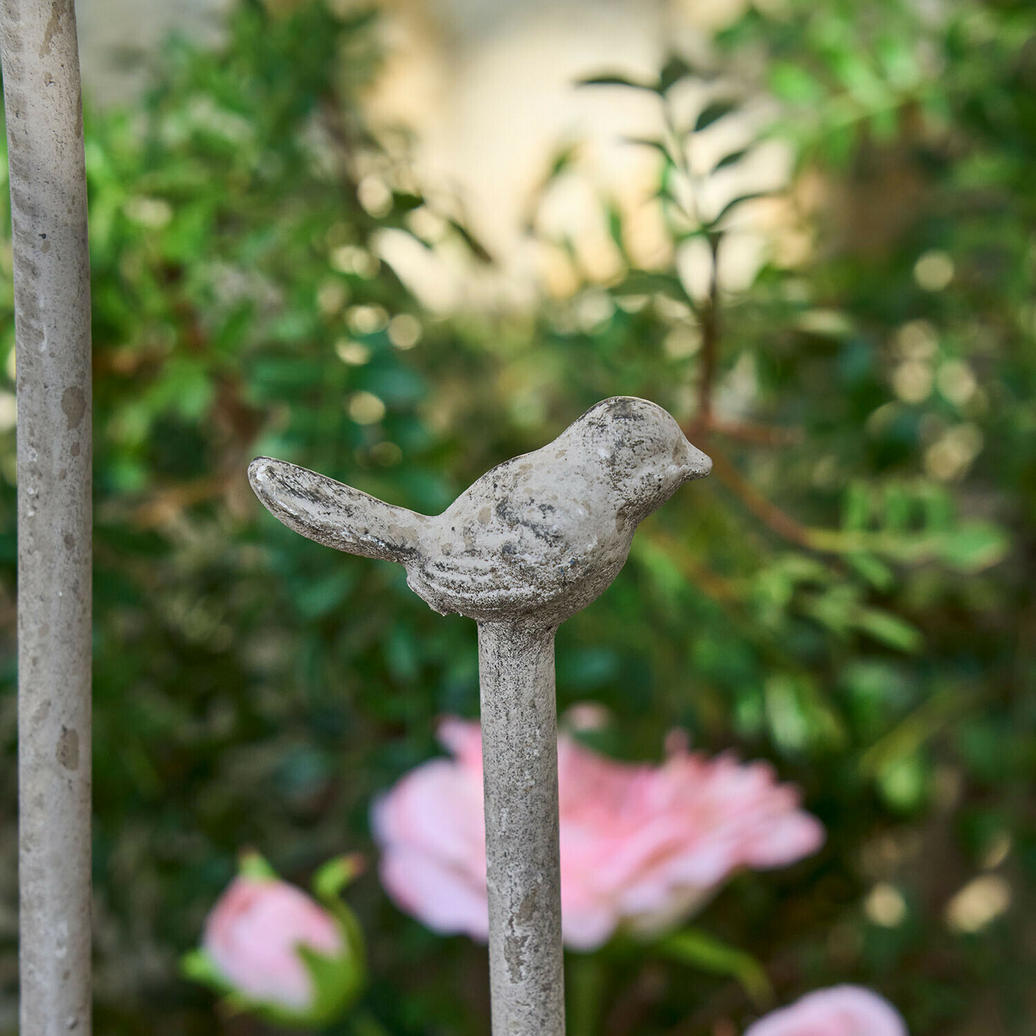 Soporte para plantas trepadoras Ormisse