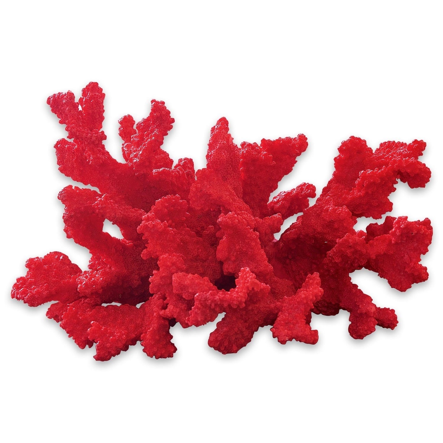 Coral decorativo Reddish