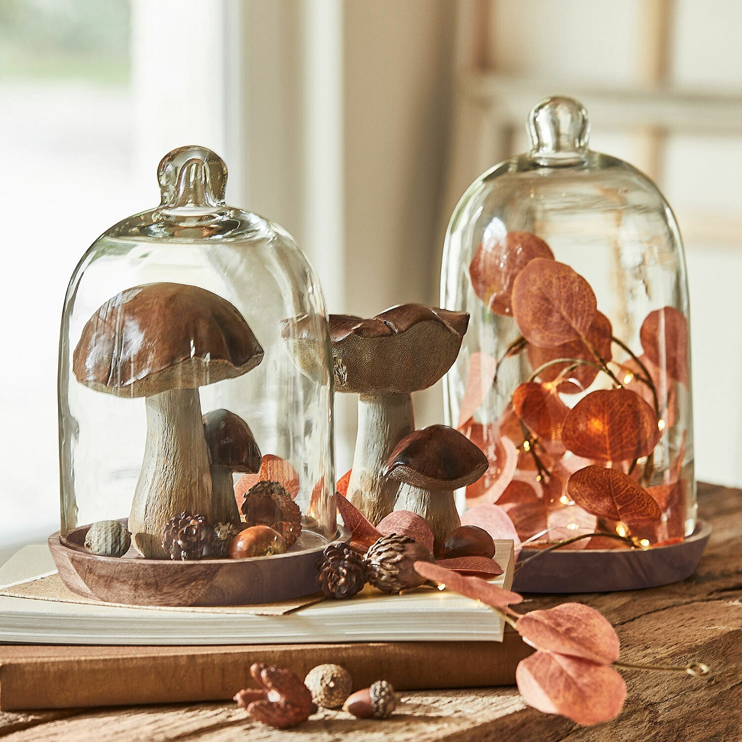 Set de 2 campanas de cristal con plato New Hampshire