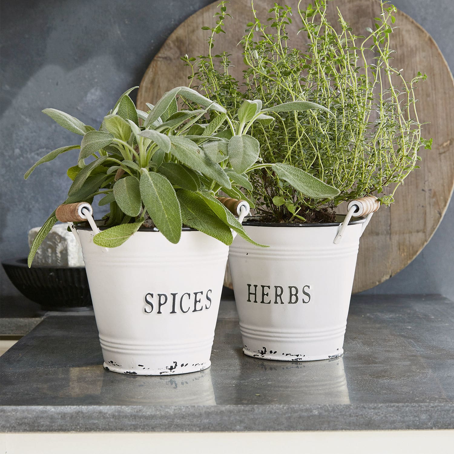Set de 2 macetas Trevis Macetas metálicas blancas con inscripciones Spices y Herbs con hierbas verdes sobre encimera