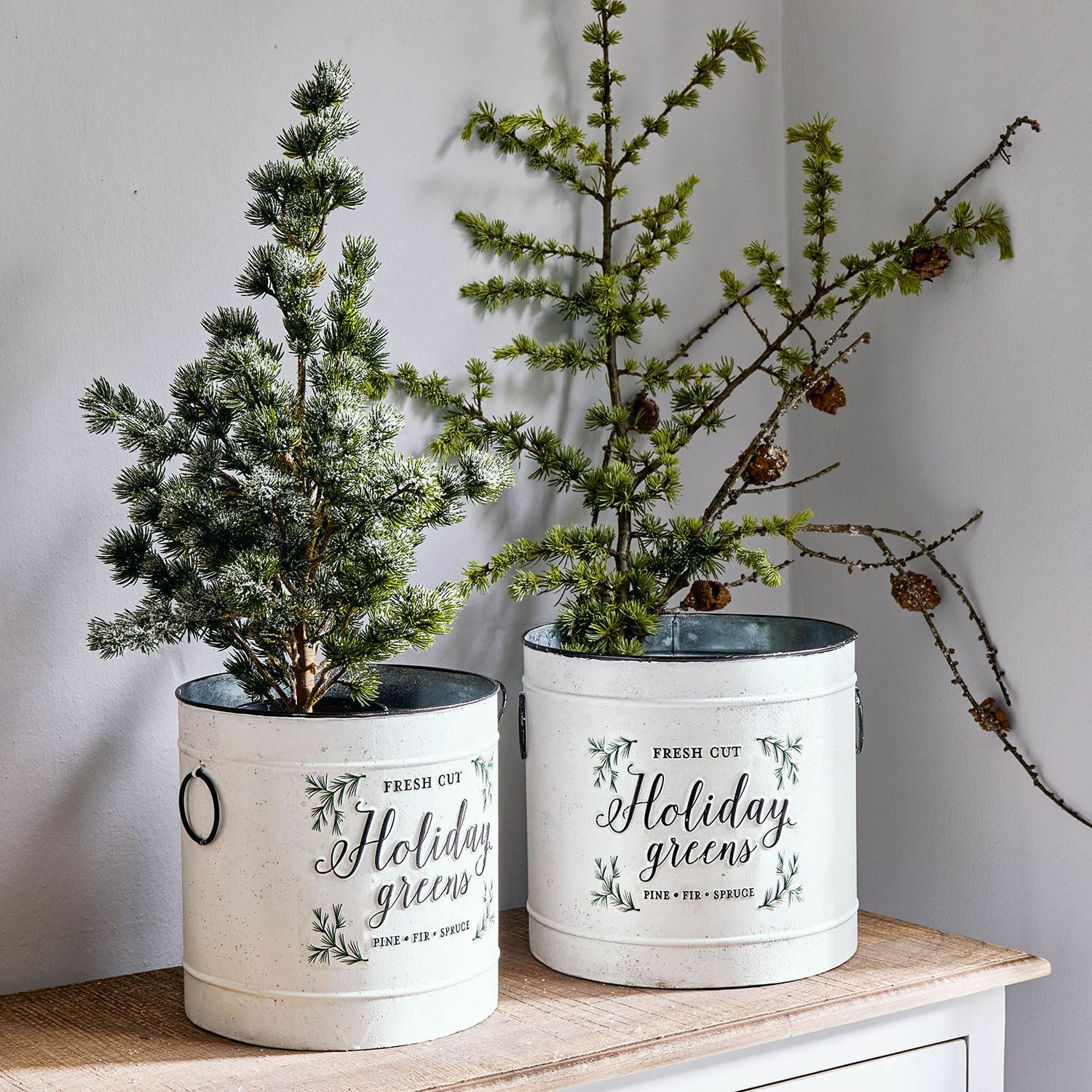 Set de 2 macetas Holiday Greens