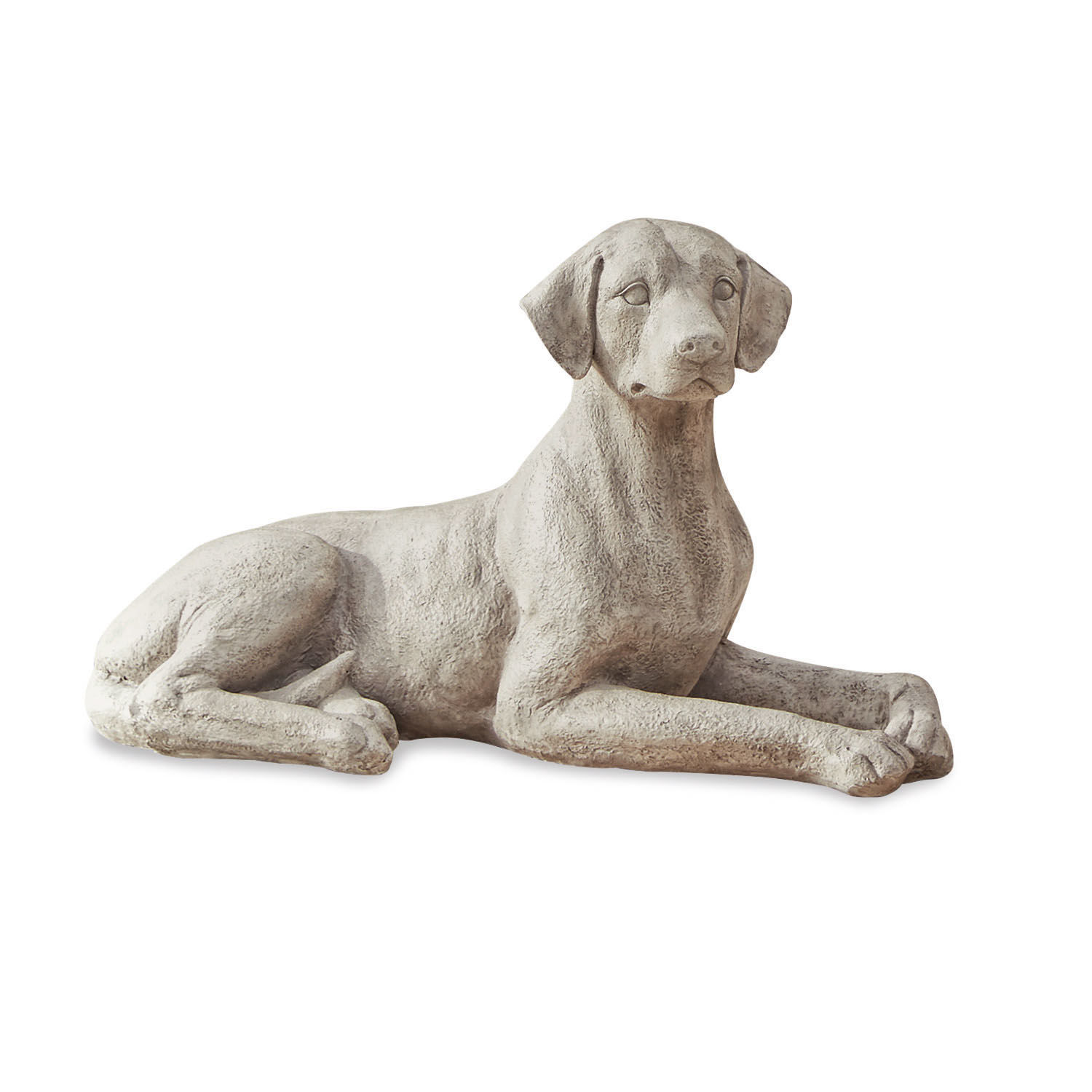 Perro Socrate Figura de perro tumbado de hormigón gris, decoración para jardín y hogar