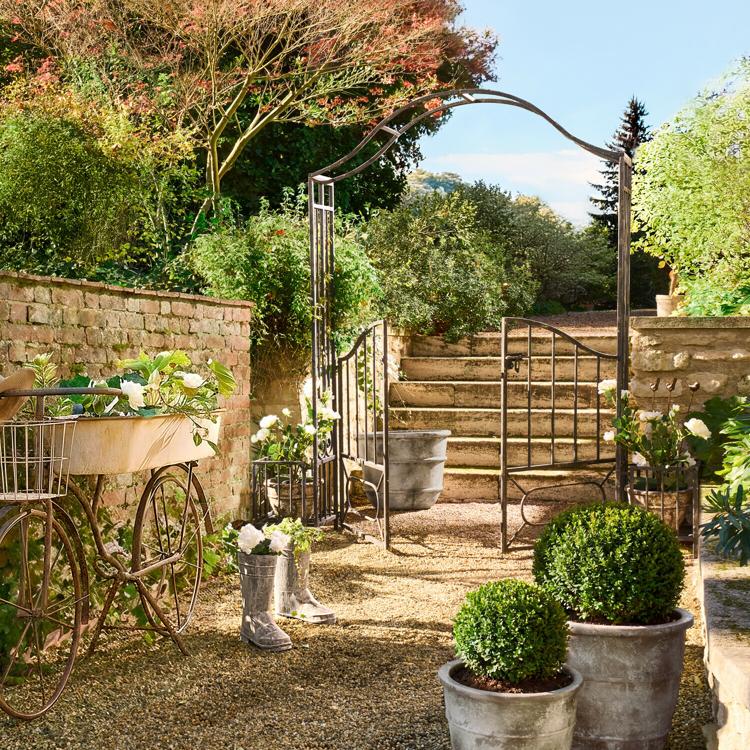 Arco de rosas Donnérie