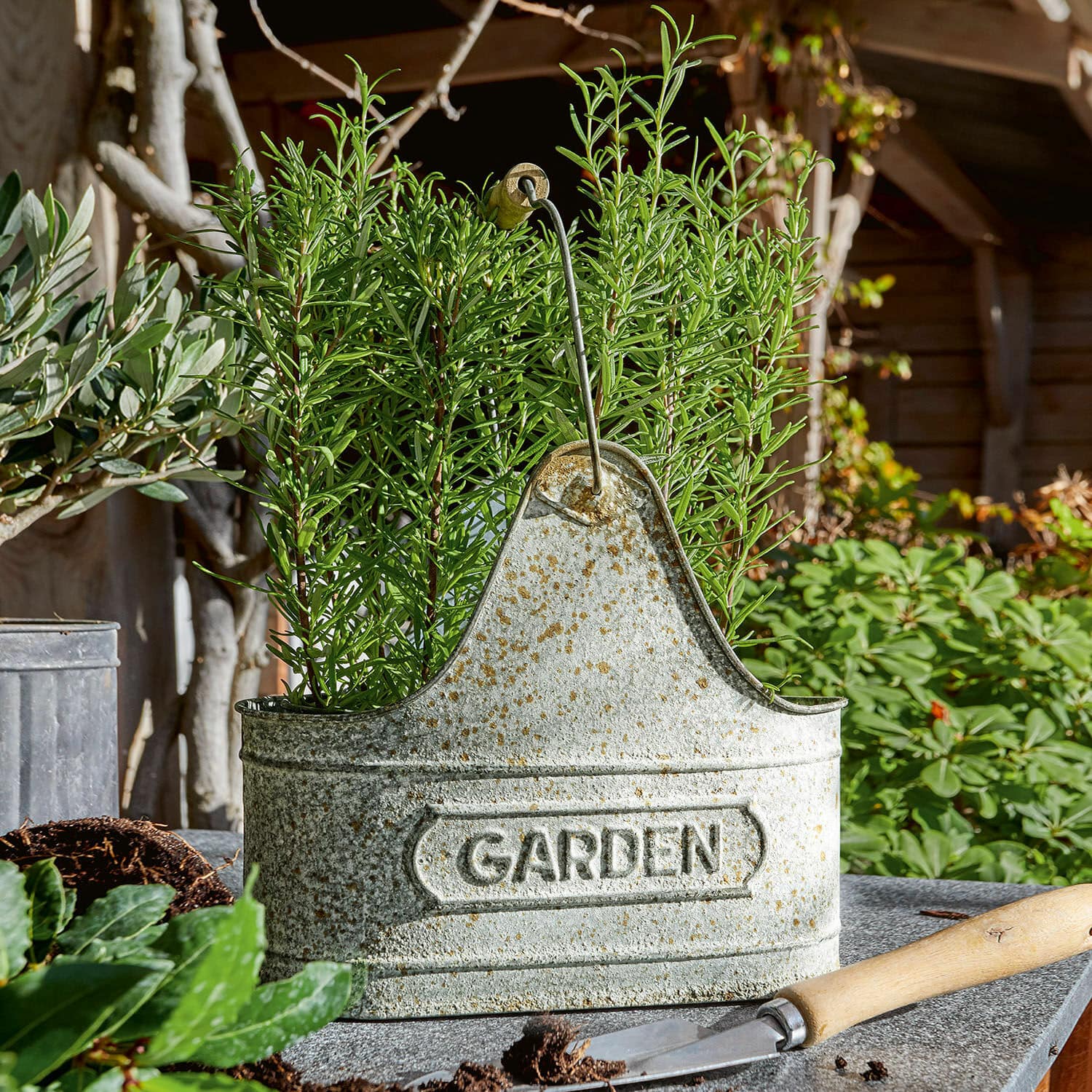 Cesta Garden